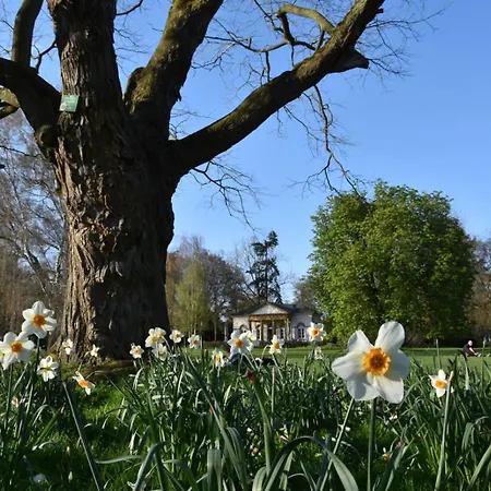 דירה New Urban City-appartement